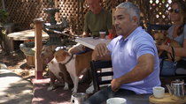 Cesar 911/ Cesar To The Rescue - Episode 6 - Devil or Saint