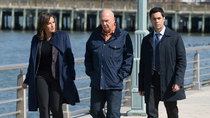 Law & Order: Special Victims Unit - Episode 21 - Perverted Justice