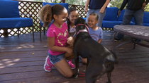 Cesar 911/ Cesar To The Rescue - Episode 7 - Raging Pit Bull