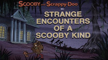 Scooby-Doo and Scrappy-Doo - Episode 3 - Strange Encounters of a Scooby Kind