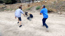 Cesar 911/ Cesar To The Rescue - Episode 10 - Not So Gentle Giant