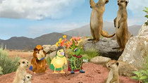 The Wonder Pets! - Episode 27 - Save the Meerkats!