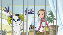 Digimon Adventure 02 - Episode 12 - Duel on the Digimon Ranch