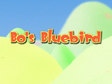 Bo's Bluebird