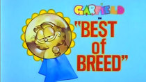 Garfield and Friends - Episode 31 - Best of Breed