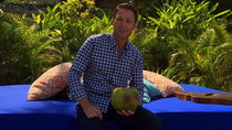 Bachelor in Paradise - Episode 1