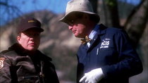 NCIS - Episode 14 - The Good Samaritan