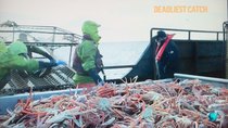 Deadliest Catch - Episode 16 - Beastmode