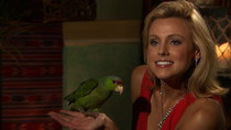 Bachelor in Paradise - Episode 6