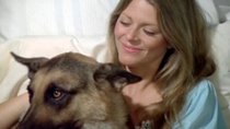 The Bionic Woman - Episode 10 - Max