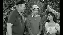 Gilligan's Island - Episode 28 - They're Off and Running