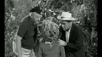Gilligan's Island - Episode 36 - A Nose by Any Other Name