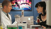 NCIS - Episode 8 - Under Covers