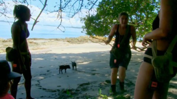 The Island with Bear Grylls - S02E06 - The Women's Island
