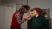 The Partridge Family - Episode 19 - Keith and Lauriebelle