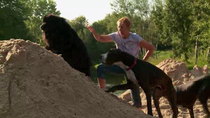 The Incredible Dr Pol - Episode 6 - Dr. Fix-It-All