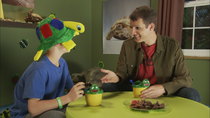 Tosh.0 - Episode 23 - “I Like Turtles” Kid