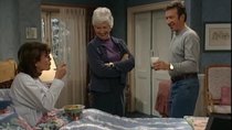 Home Improvement - Episode 19 - Love's Labor Lost (2)