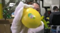 Food Factory USA - Episode 3 - Zest for Life