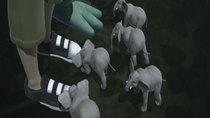 Animalia - Episode 15 - Save Our Swamp