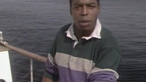 Reading Rainbow - Episode 1 - Humphrey the Lost Whale: A True Story