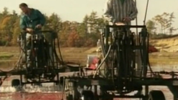 Reading Rainbow Season 16 Episode 4