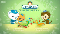 Octonauts - Episode 6 - The Mantis Shrimp