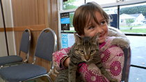 The Incredible Dr Pol - Episode 7 - Hook, Feline and Sinker