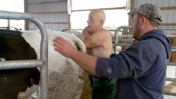 The Incredible Dr Pol - S07E09 - Squeal of Fortune