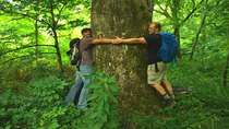 Rock the Park - Episode 3 - Great Smoky: Big, Tiny, and Slimy