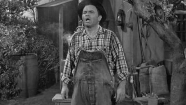 andy griffith alcohol and old lace