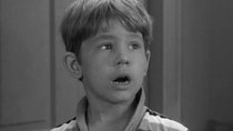 The Andy Griffith Show - Episode 11 - The Pickle Story