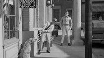 The Andy Griffith Show - Episode 18 - Jailbreak