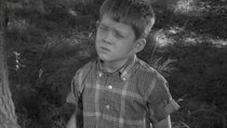 The Andy Griffith Show - Episode 1 - Mr. McBeevee