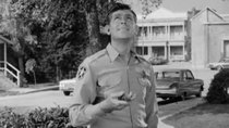 The Andy Griffith Show - Episode 1 - Opie, the Birdman