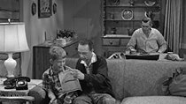The Andy Griffith Show - Episode 9 - Opie's Fortune