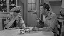 The Andy Griffith Show - Episode 29 - The Luck of Newton Monroe