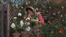 The Andy Griffith Show - Episode 12 - Only a Rose