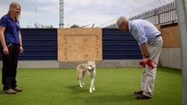 For the Love of Dogs - Episode 2