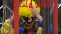 I'm a Celebrity... Get Me Out of Here! - Episode 7 - Horri-flying Circus