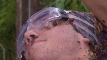I'm a Celebrity... Get Me Out of Here! - Episode 21 - Final: Surf and Turf / Bushtucker Bonanza / Critter Attack