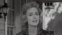 The Donna Reed Show - Episode 11 - The Baby Buggy