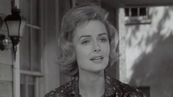 The Donna Reed Show - S05E11 - The Baby Buggy