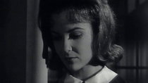 The Donna Reed Show - Episode 9 - Big Star