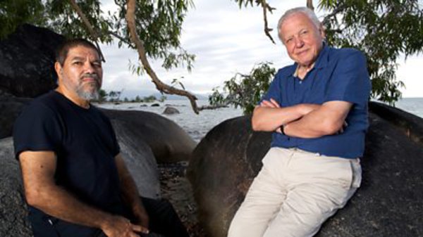 Great Barrier Reef with David Attenborough - S01E01 - Builders