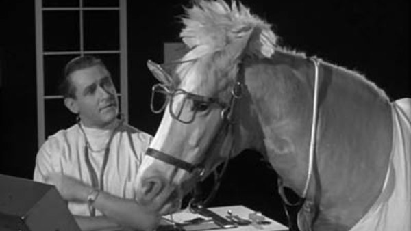 Mister Ed Season 3 Episode 25