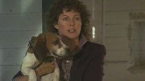Murder, She Wrote - Episode 5 - It's a Dog's Life