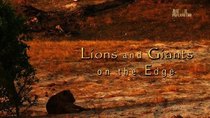 Animal Planet Documentaries - Episode 31 - Lions And Giants: On The Edge