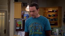 The Big Bang Theory - Episode 13 - The Empathy Optimization