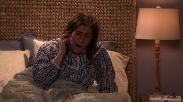 The Big Bang Theory Season 9 Episode 11 Recap